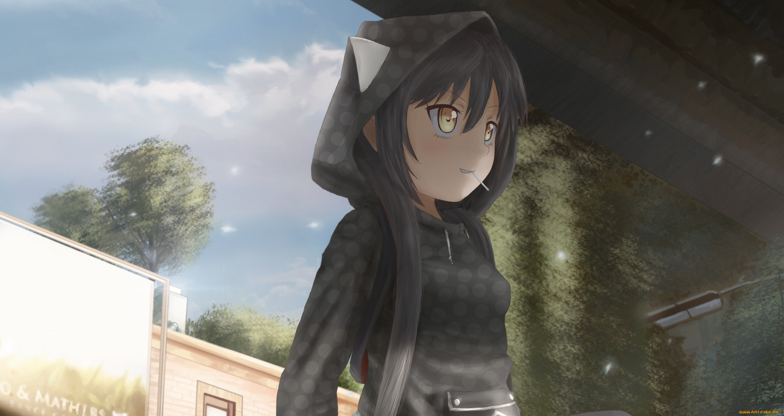 , unknown,  , novcel, lilith, parker, , , , 